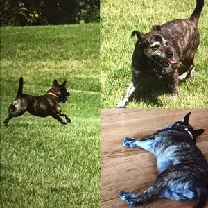 Meet your Posher, Annette